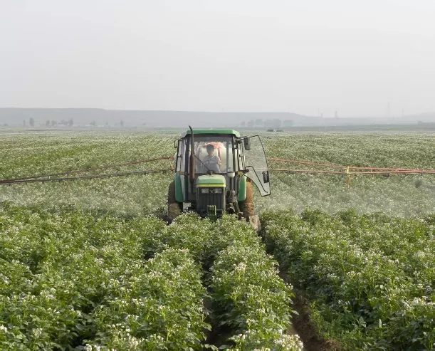 Xinjiang Wenxing Potato Industry Co., Ltd.